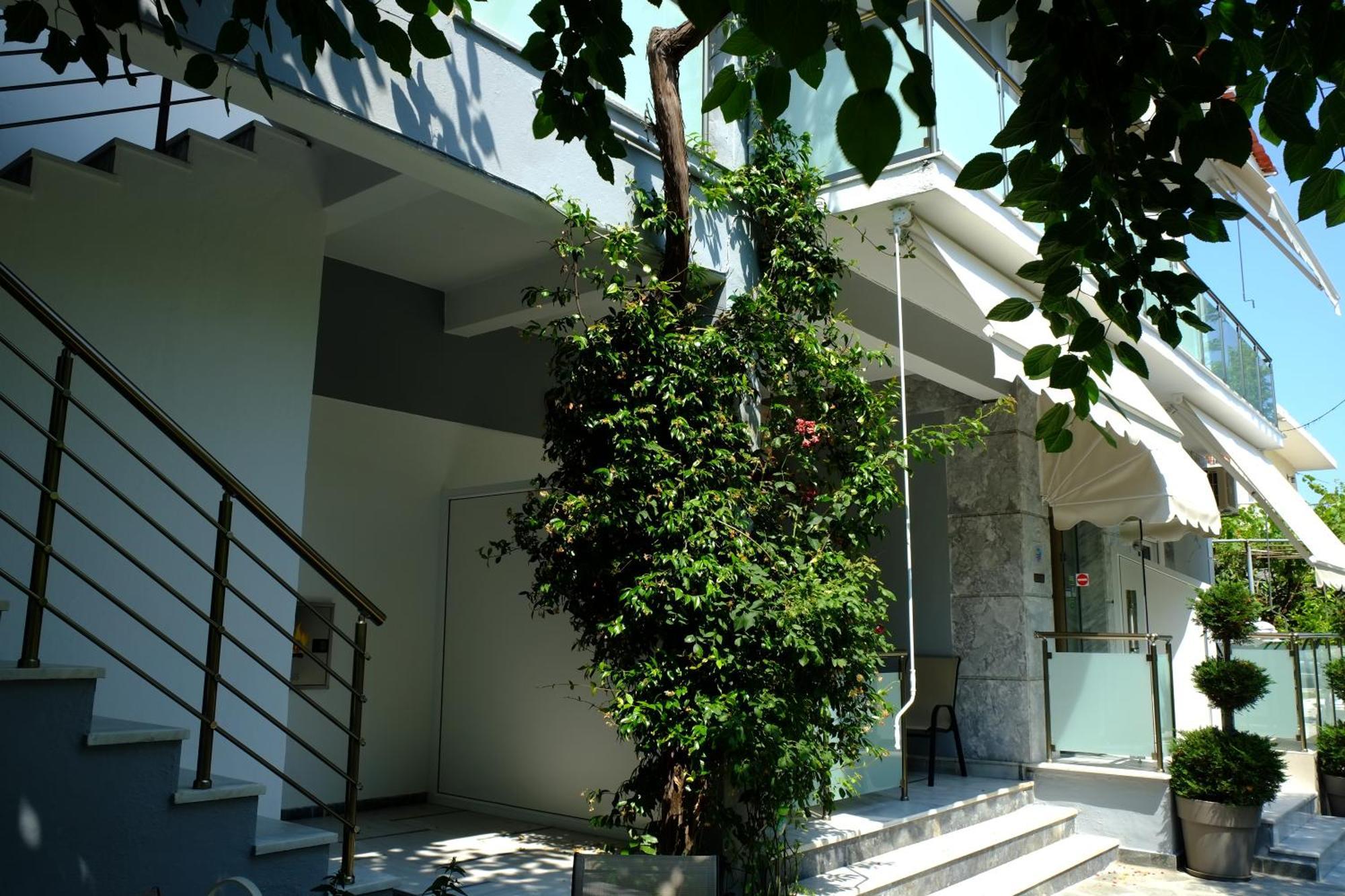 Luxury Studios Ath Thassos Exteriör bild