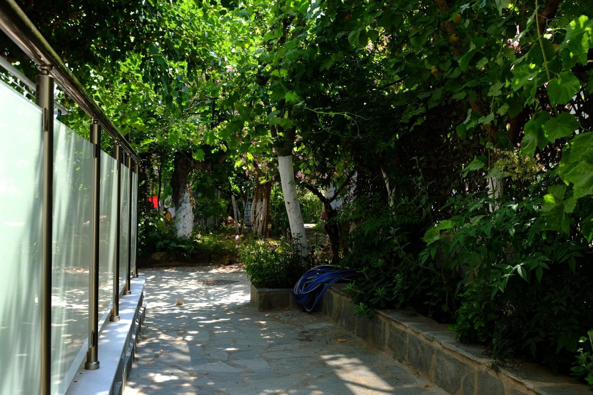 Luxury Studios Ath Thassos Exteriör bild